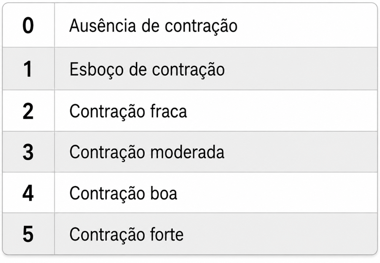 Execução do Escala de Oxford Modificada